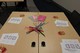 Ready to facilitate the Personal Tune-up program I created!